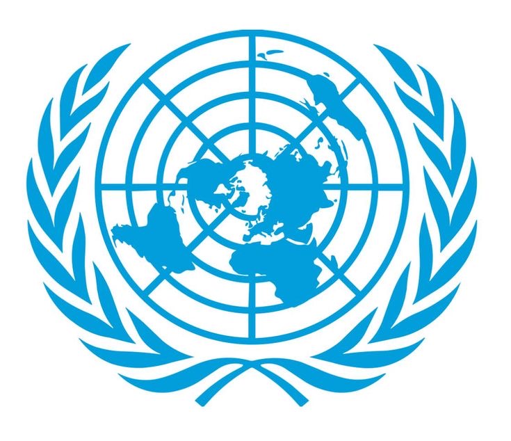 United Nations emblem image (illustrative)
